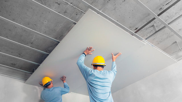 Gypsum Board Ceiling Worker Uae Dubai